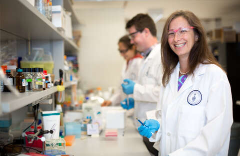 Professor Molly Shoichet is leading one of 20 projects that are receiving Medicine by Design Team Project Awards.